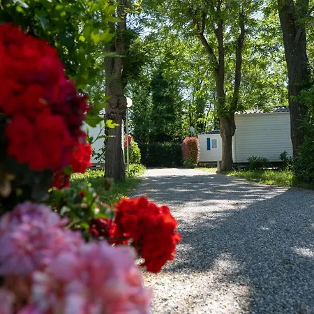 Camping Sol Y Mar Campingplads 3*