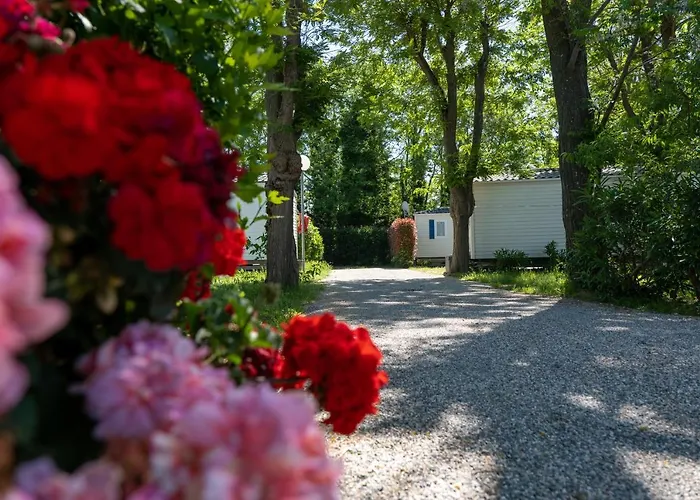 Camping Sol Y Mar Campingplatz 3*