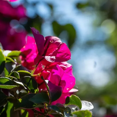 Camping Sol Y Mar 3*