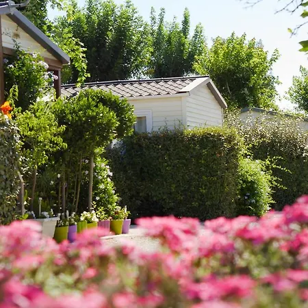 Camping Sol Y Mar 3*